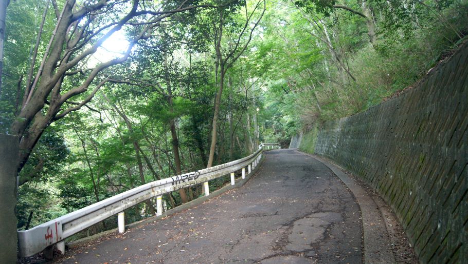 【8月11日は山の日】自然とスイーツを満喫♡六甲山登山コースでスイーツ食べ歩き！