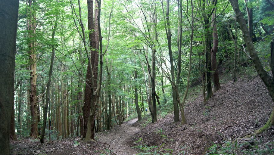 【8月11日は山の日】自然とスイーツを満喫♡六甲山登山コースでスイーツ食べ歩き！