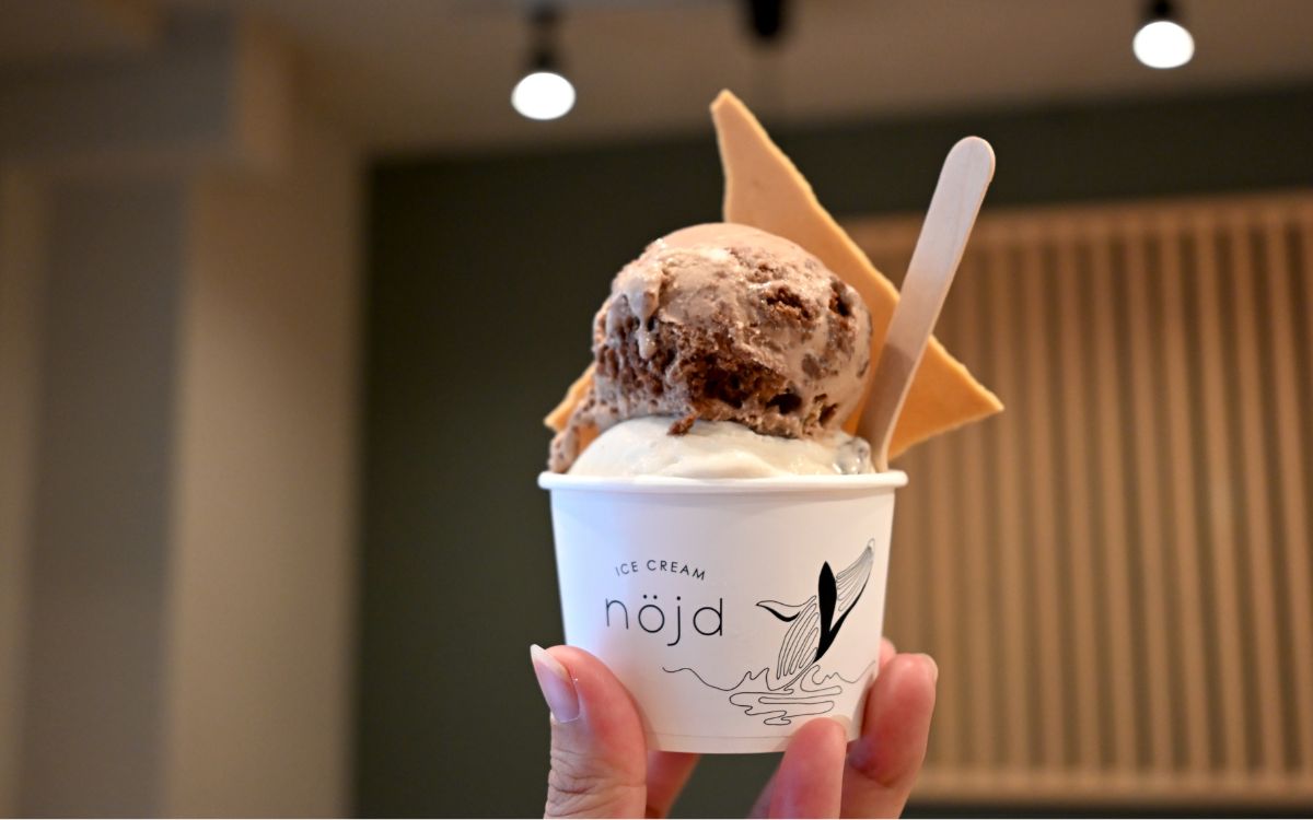 素材にこだわった職人手仕込みのアイスが美味しすぎる♡新しくできた「nöjd（ヌイド）ICE CREAM」（大阪・南堀江）に行ってきた！