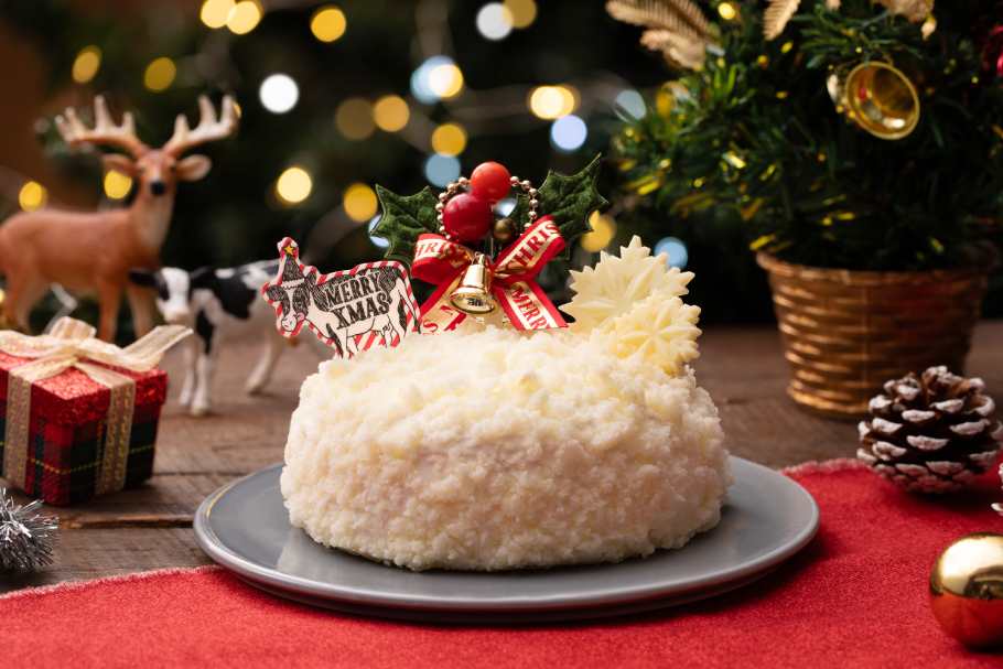 ちょっとひと味違う！個性派クリスマスケーキ５選